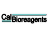 ͼƬƣCalBioreagents
3256